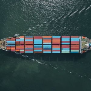 Guerra in Medio Oriente, la Fao: effetto domino sui sistemi agroalimentari mondiali