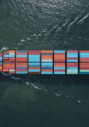 Guerra in Medio Oriente, la Fao: effetto domino sui sistemi agroalimentari mondiali