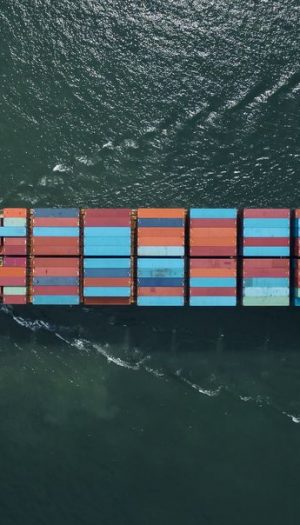 Guerra in Medio Oriente, la Fao: effetto domino sui sistemi agroalimentari mondiali