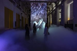 Creatività, talento e vino: i valori di Pasqua Vigneti e Cantine nell’opera “Falling Dreams”