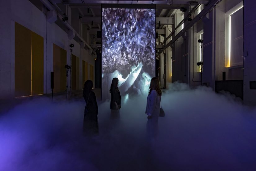 Alcune delle istallazioni artistiche commissionate da Pasqua Vini negli anni