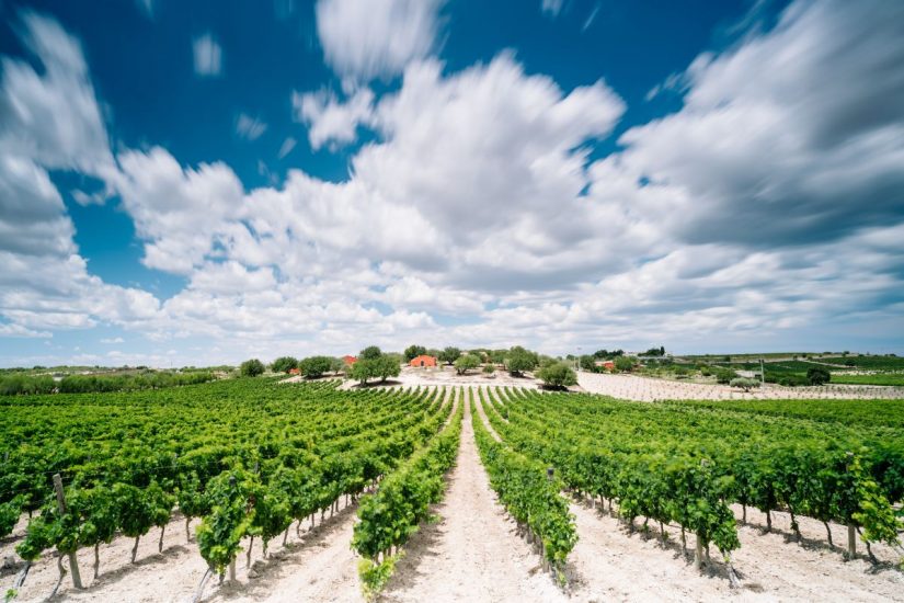La cantina di Planeta a Noto