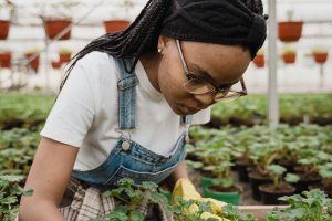 Il 29,3% dei lavoratori impiegato nei campi è straniero. Cia: migliorare politiche migratorie