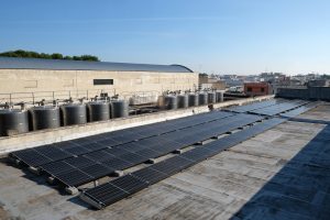 Una svolta “green” nel Salento: Cantina Cupertinum e Sorgenia insieme per la sostenibilità Una svolta “green” nel Salento: Cantina Cupertinum e Sorgenia insieme per la sostenibilità