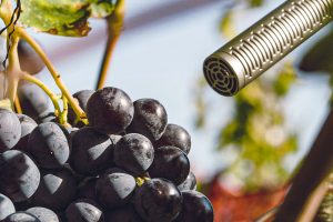 Metti un sound designer in cantina per “catturare” i suoni della produzione di vino in Valpolicella