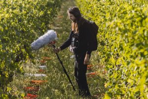 Dall’appassimento alla bottiglia: i “suoni” del vino raccontano il De Buris di Tommasi