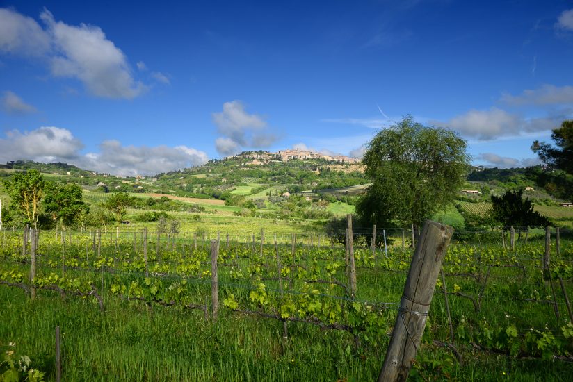 10 anni di sostenibilità firmati Salcheto, la prima cantina off-grid d’Europa