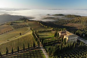 I “Premi speciali” del Gambero Rosso: Berlucchi, Argiano, Villa Sandi, Tenute Rubino, Felluga ...