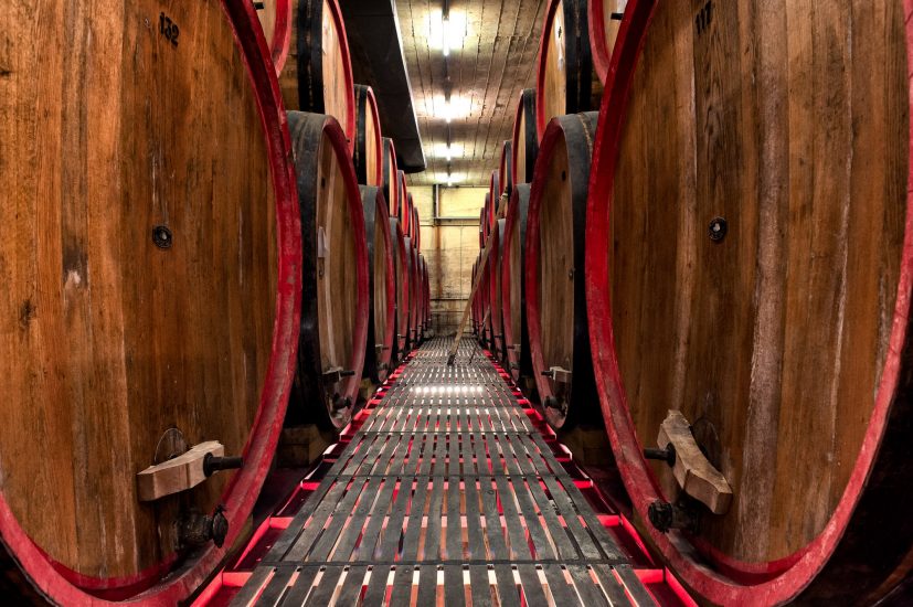 La sostenibilità al centro di Vivite, il focus sul vino di Alleanza delle Cooperative