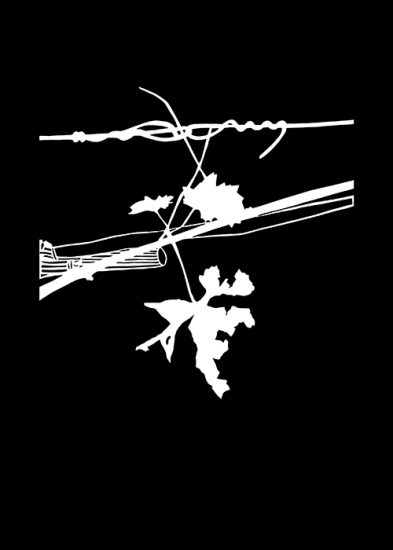 A “Vinitaly Special Edition” 2021  la mostra “Vino. Oltre il paesaggio” by Zenato Academy