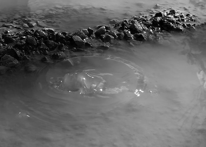 A “Vinitaly Special Edition” 2021  la mostra “Vino. Oltre il paesaggio” by Zenato Academy