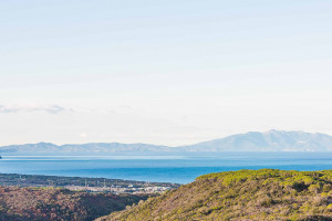 I Quaderni di WineNews - Bolgheri