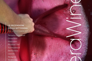 I Vini di WineNews - N. 174