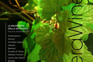 I Vini di WineNews - N. 175