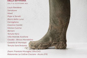 I Vini di WineNews - N. 176