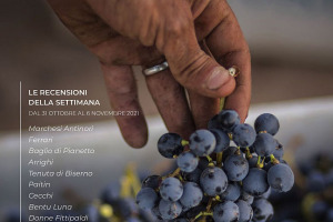 I Vini di WineNews - N. 178