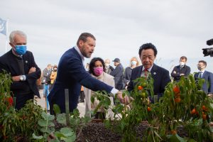 Un orto bio sul tetto della Fao: l’esperimento pilota per produrre cibo in città e in montagna