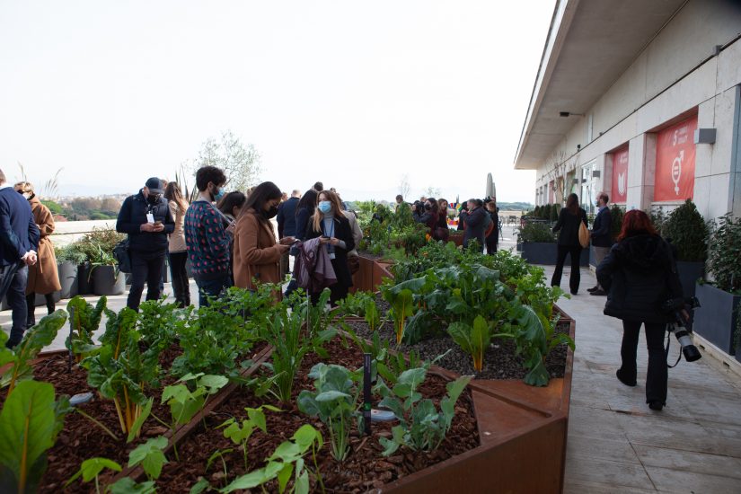 L’orto sperimentale e bio sul tetto della Fao