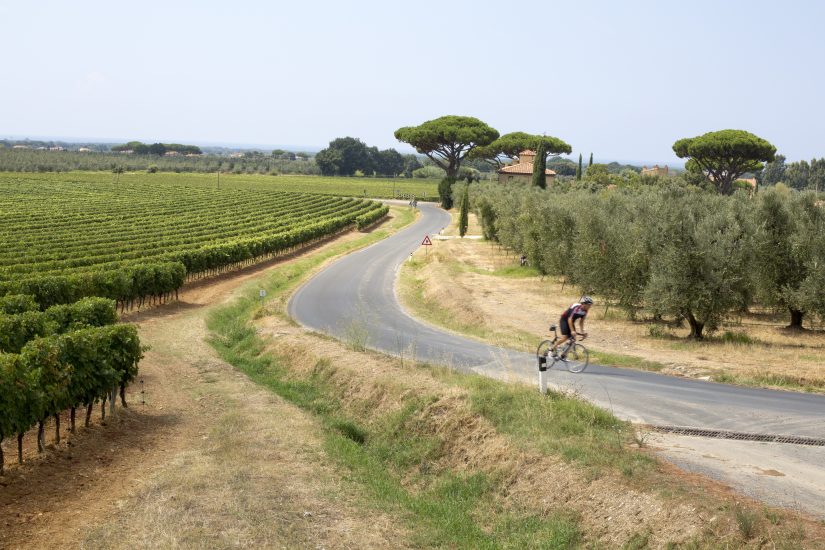 La campagna di Bolgheri