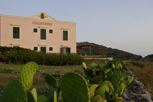 Cantine Pellegrino, svolta green a Pantelleria, con il più grande impianto fotovoltaico d’Italia