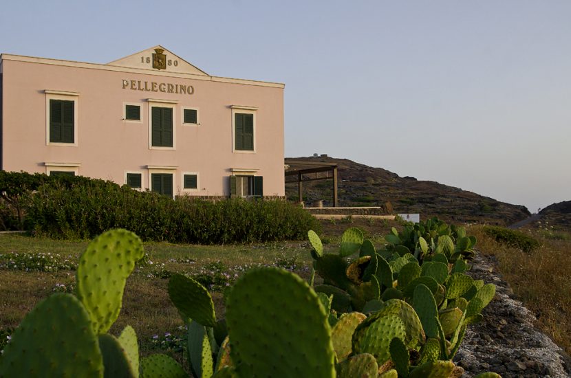 Cantine Pellegrino, il green passa per il fotovoltaico