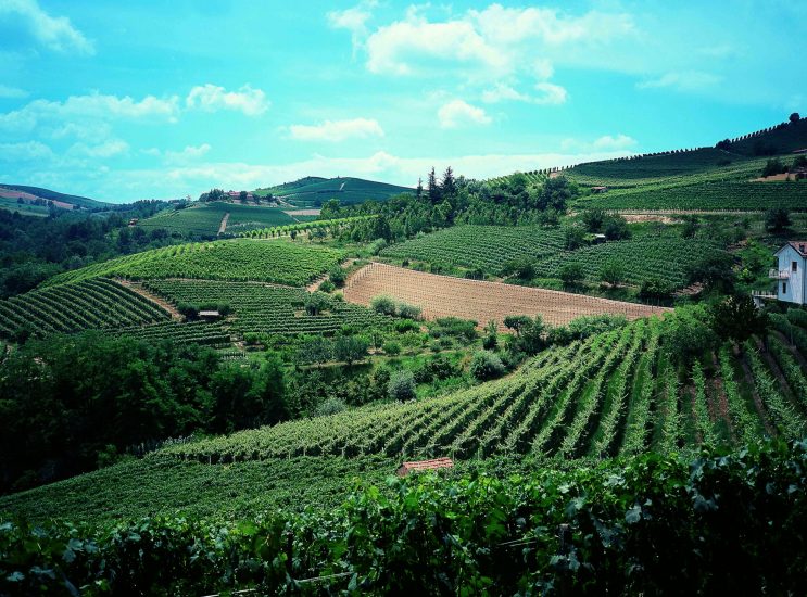 La cantina Bersano, uno dei nomi storici del Piemonte del vino