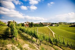 “Top 100” by “Wine Spectator”: il Barolo Bricco Boschis 2016 Cavallotto al n. 8