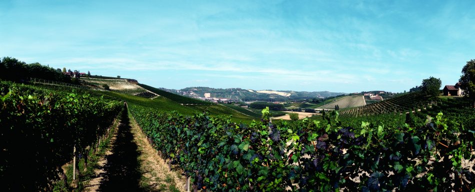 La Cascina La Generala ad Agliano Terme