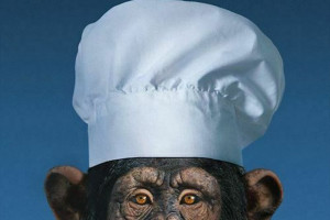 L&rsquo;evoluzione dell&rsquo;uomo &egrave; passata e continua a passare dalla cucina. Dalla dieta alle istituzioni