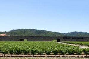 Il Napa Valley 2018 di Dominus Estate è il n. 1 della “Top 100” by “Wine Spectator” 2021