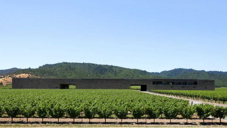 Dominus Estate al n. 1 della “Top 100” by “Wine Spectator” 2021