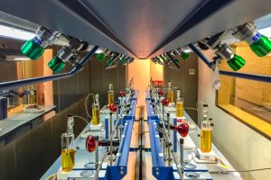 Viaggio nel futuro del vino: il “Centro Enosis Meraviglia” dell’enologo Donato Lanati e Dora Marchi