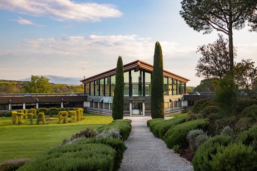 La tenuta Ornellaia