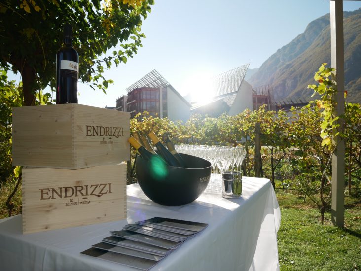 Il Giardino dell’Uva del Muse di Trento, firmato Endrizzi