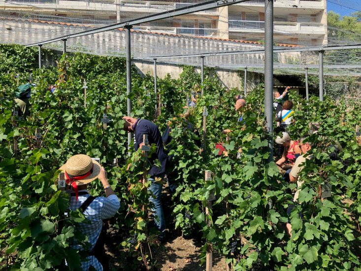 Clos des Canuts a Lione