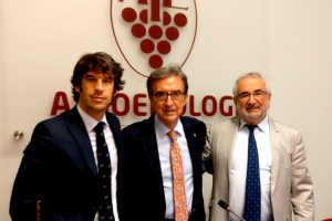 The triumvirate between Italy, France and Spain leading the oenologists of the world The triumvirate between Italy, France and Spain leading the oenologists of the world