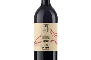 Monte Fasolo, Doc Colli Euganei Merlot I Sentieri 2018