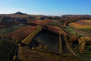 La viticoltura è modello di tutta l’agricoltura: il messaggio di “Climate Change & Fine Wines”