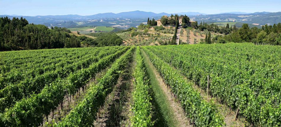 CastelGiocondo a Montalcino