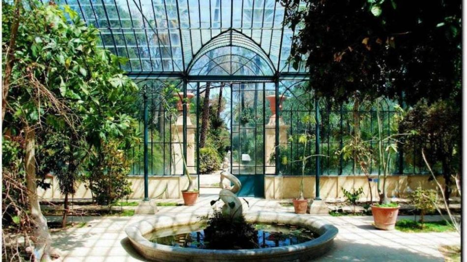 La vigna del Gallo a Palermo