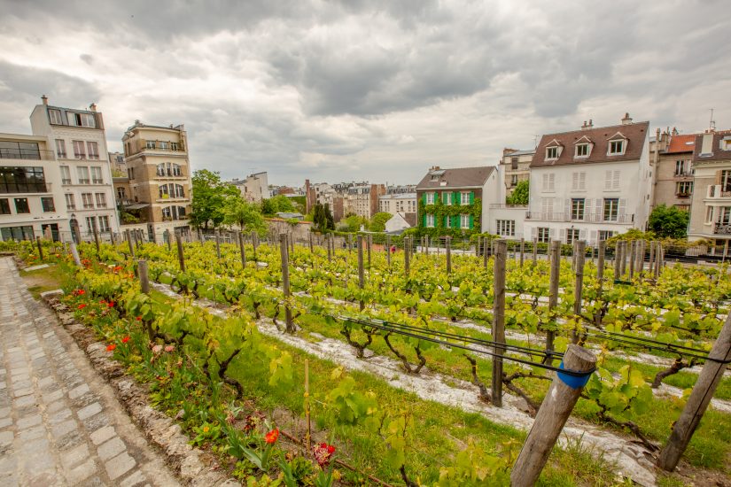 Clos Montmartre a Parigi