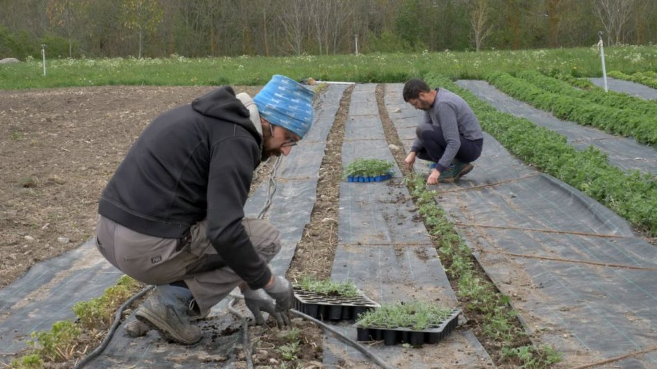 “I ribelli del cibo. Storie di piccoli produttori dell’Alto Adige”