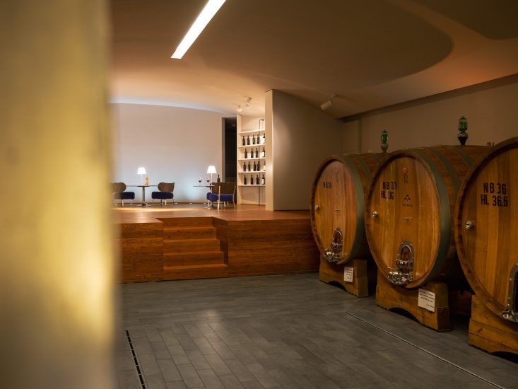 Sassoregale, la tenuta maremmana di Santa Margherita