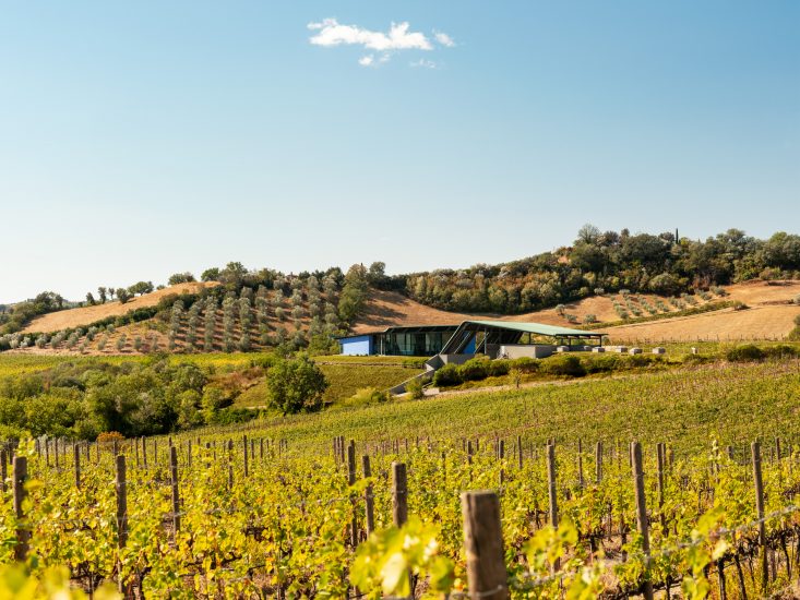 Sassoregale, la tenuta maremmana di Santa Margherita