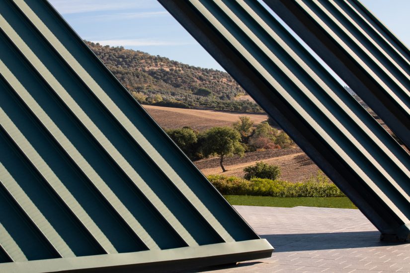 Sassoregale, la tenuta maremmana di Santa Margherita