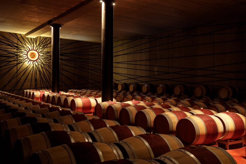 La bottaia della Tenuta Luce