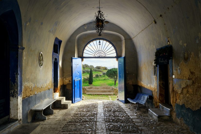 La sostenibilità secondo Tasca d’Almerita. © Benedetto Tarantino