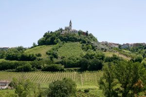 “Un sindacato dei Comuni e dei territori del vino”: ecco le Città del Vino, guidate da Angelo Radica “Un sindacato dei Comuni e dei territori del vino”: ecco le Città del Vino, guidate da Angelo Radica