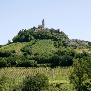 Legge Made in Italy, ecco le &ldquo;Citt&agrave; di Identit&agrave;&rdquo;: Citt&agrave; del Vino e dell&rsquo;Olio nel Registro nazionale