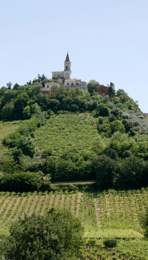 Legge Made in Italy, ecco le &ldquo;Citt&agrave; di Identit&agrave;&rdquo;: Citt&agrave; del Vino e dell&rsquo;Olio nel Registro nazionale